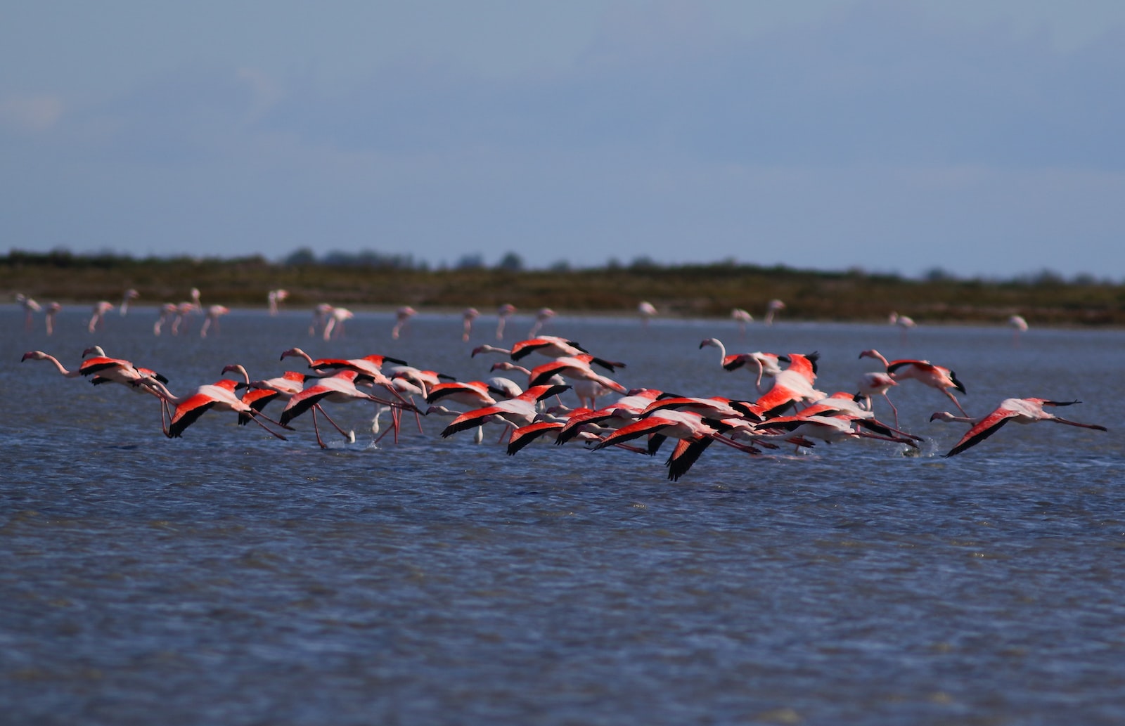 La nature sauvage et les parcs nationaux à visiter en Espagne